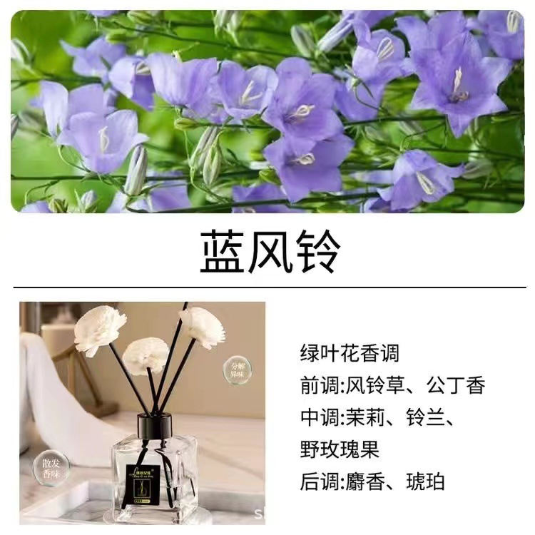 푸른 바람 차임