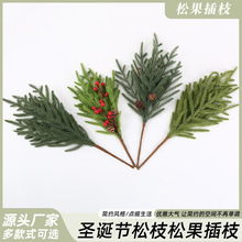 �羳�}�Q����֦�ɹ���֦�Ҿ��b���Gֲ�ٻ��ݻ��h�̈��[����c