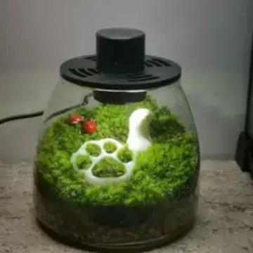 「空の街」猫の爪マイクロ風景 DIY 生態ボトル植物装飾樹脂装身具素材ミニ装飾品|undefined