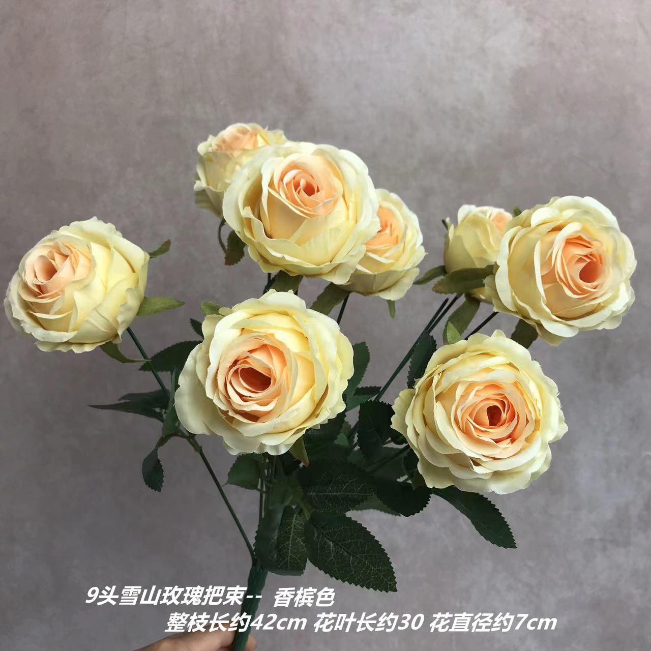 샴페인