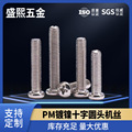 镀镍十字圆头螺丝盘头螺栓机丝机牙螺钉PM电子小螺丝钉M2M3M4M5M6