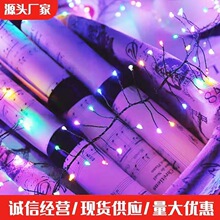 led�l����ڟ� �����ˮͥԺ��Y��̨�ֳ��b��҃ȾW�t����