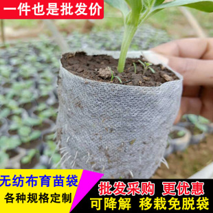 �Ӻ�o���������ֲ��I�B���I�B���Nֲ���ɽ�����绨����I�B��