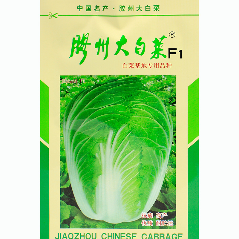 山东胶州大白菜种子种籽孑秋季冬储高产蔬菜黄心超大青菜大全菜籽