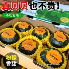 沃土孕妇老南瓜宝宝辅食批发贝贝南瓜板栗味种植新鲜蔬菜