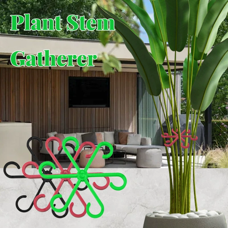Plant Stem Support 4pc Завод фиксирующий зажим для растений Вьющиеся опоры стебли для сбора держатель