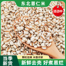 �r��޲������؛����s�Z޲��������ּZ��ζ����С޲����500g�b