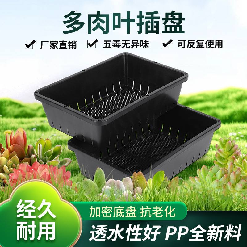 塑料小号育苗盆叶插盆闷养多肉植物小苗盆栽黑白色整理框育苗盘