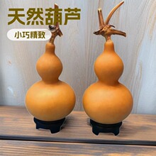 ����С�������J����С���ְ�С���J4-6���׎����^����С���J