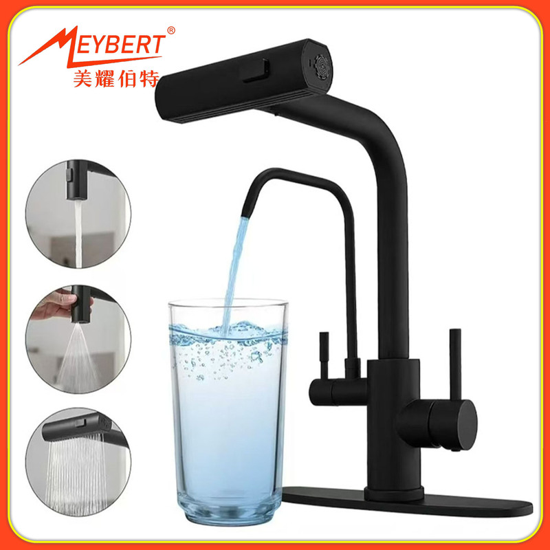 Stainless Steel 2-in-1 Pure Water Filter Kitchen Faucet, Hot and Cold Pull-Out Brushed Gold Sink Faucet