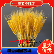 һ�����l��Ȼ�S������ɻ������_�I�����͏d�b[���[�O���Ӳ廨