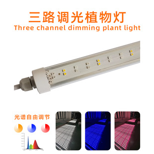 Manufacturer Wholesale Dimmable Dimming Spectrum Timing Plant Lamp Korean Waterproof Plant Lamp Hydroponic Plant Factory