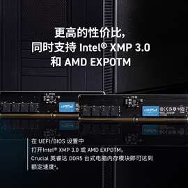 适用英睿达(crucial)美光 DDR5内存条 5600频率 台式机内存条 美