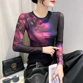 欧货2023秋装新款修身时尚网纱印定位花圆领长袖气质T恤女潮代发