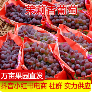 �a��ֱ�l�Fժ���������ё������rˮ���o�����Ѽt����һ�����l