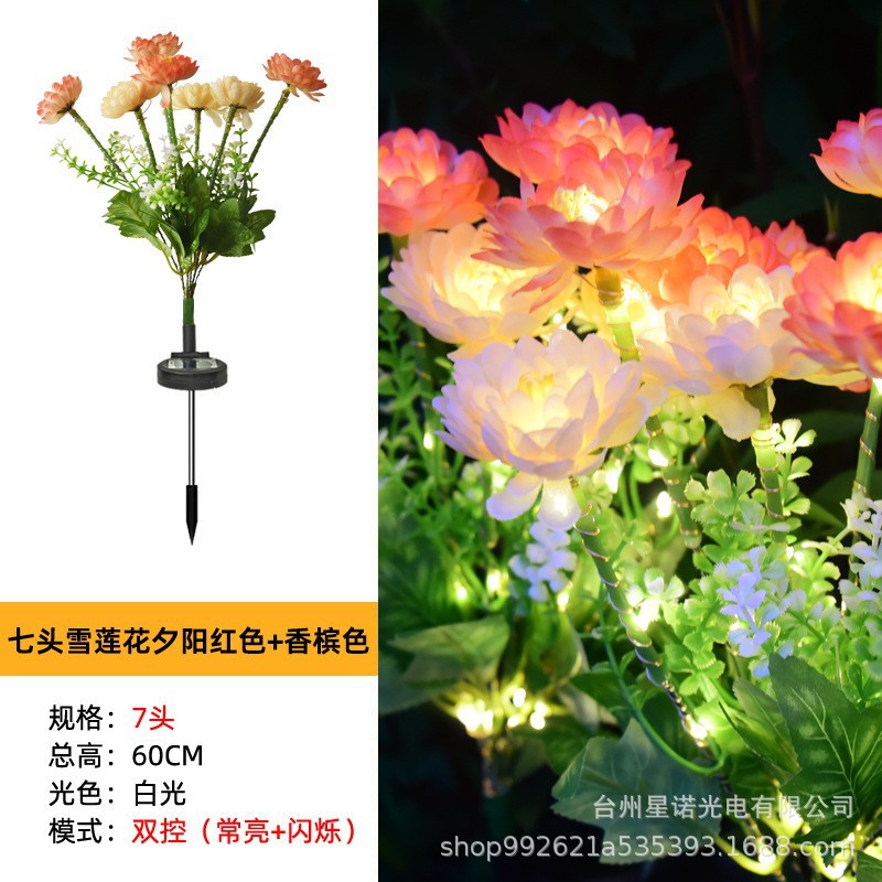 7송이 설화련 석양 레드 + 샴페인 골드