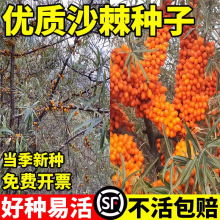 ���|ɳ���N�Ӵ������t�ļ��׷Nɳ����N��ͥԺ�̨����ˮ���N��