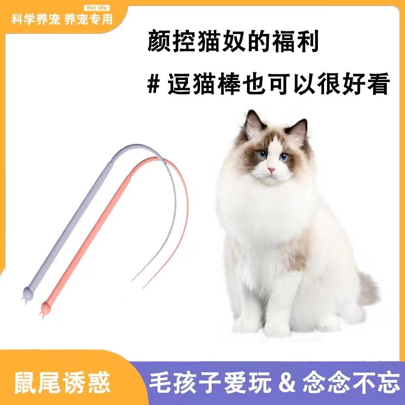국경 간 실리콘 고양이 놀리는 막대, 시뮬레이션 쥐 꼬리 고양이 놀리는 막대, 교체 가능한 막대, 고양이 대화형 자기 자극 및 지루함 해소 장난감