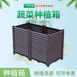 院内藤条塑料种植箱楼顶花园阳台蔬菜种植箱花盆可拼接蔬菜种植槽