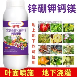 �\����}�V�ʺ�������ˮ�ܷʸ��ٲ�ݮ�Ϲ��߲˹������ͨ���~���