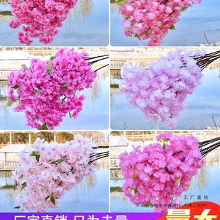 �ѻ�֦��c÷���һ�֦���ϻ��҃ȿ͏d��픻����b����쾰�侰��