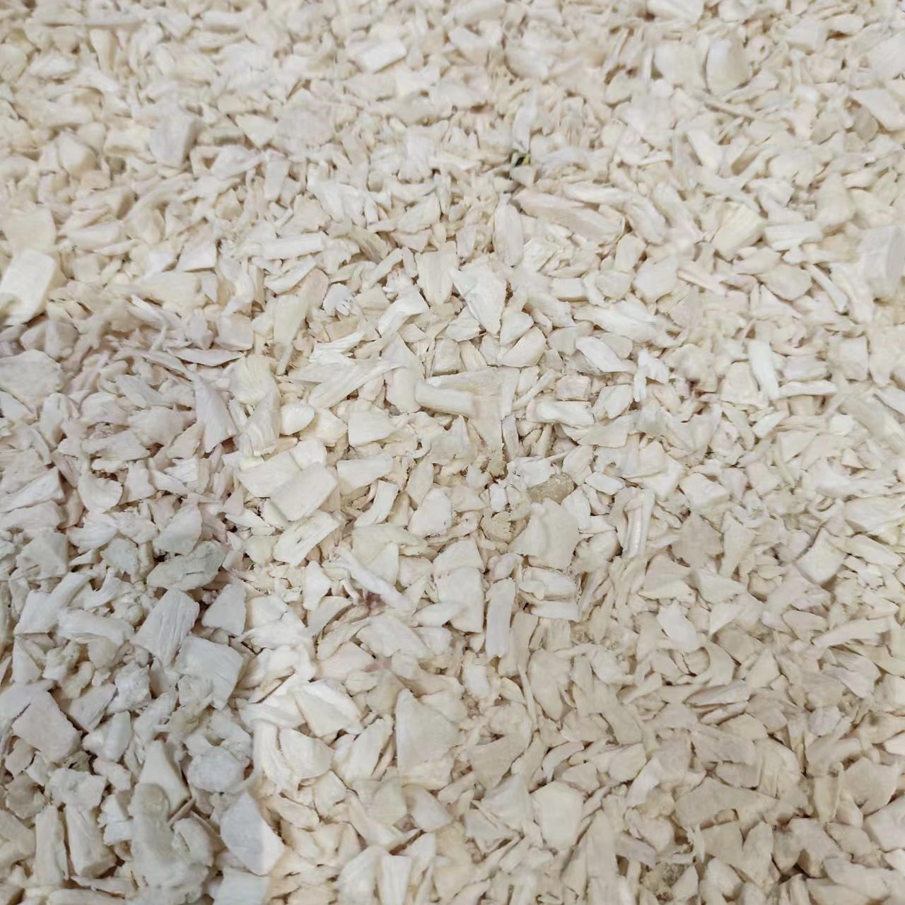 微信图片_20230811143900