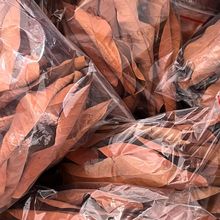 ~BίƤ쾰ˮtɫA~{ˮ|