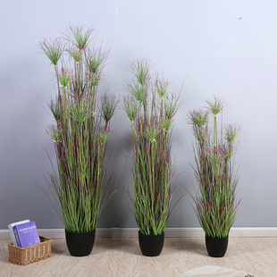 ���Wֲ��ˮ���������ɫ�Gɫ�ݴ���҃Ȼ�ˇ�bٻ��Gֲ���