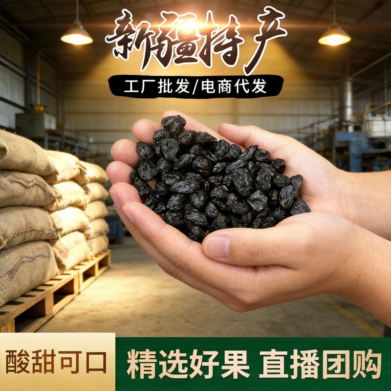 Blackcurrant Xinjiang Uzbekistan Raisins Cleaned and Dried Dried Fruits Bulk Whole Box Wholesale Specialty Blackcurrant Xinjiang Uzbekistan Raisins Cleaned and Dried Dried Fruits Bulk Whole Box Wholesale Specialty