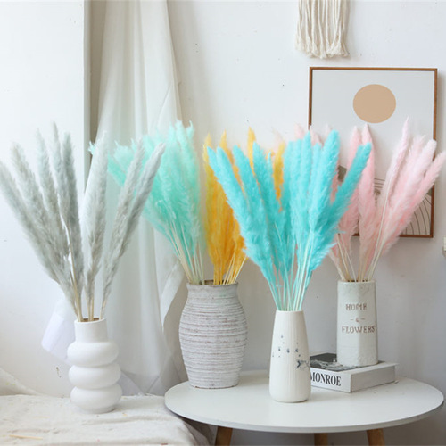 Yunnan dried flowers, dried flower bouquet, reed grass, Pampas, small whisk, dried flowers, small reed