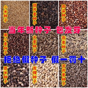 �����Ʒ���w�����w���N��С�׼t������С����������޲�������N��