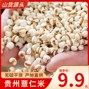 �F��޲������؛���찾��ɢ�b�͌����߼t����С��޲�ײ�ȥ��ԭ����