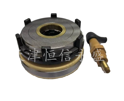 Dlm0-2.5-6.3-16-40 Multi-Plate Electromagnetic Clutch Is Available from the Manufacturer (Power take-off)