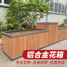 XϽXϽMϴ̖·WľyͥԺFˇ