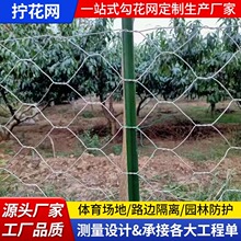 拧花网围栏网户外路边隔离六角网养殖铁丝煤矿支护园林防护防护网
