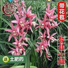 ���P����ڽ��m�ļ��m�҃ȝ������m���绨�ڎ����������������e�L