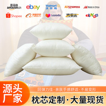 PP棉抱枕芯无纺布磨毛布棉质柔软沙发靠垫枕头内胆家居车用酒店