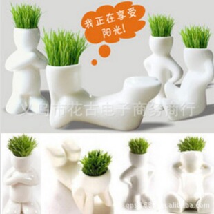 A DIY office mini plant potted grass planting white grass doll X lover gift