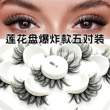 �¿��匦�b���w�ٽ�ë ��ը���Լ޽����w��ܛ���m�۽�ëɏ���P