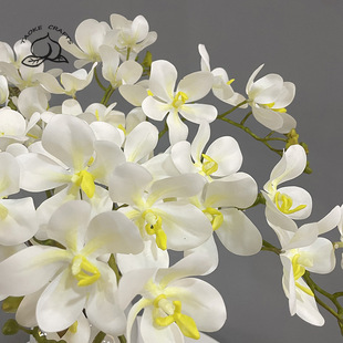 �F؛��������mǧ���m̩���m���ٻ��ҾӾƵ��b����յ��ߔ[��