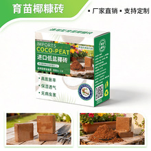 10cm�M��Ҭ�u���ݰl�I�B���ʺ��bֲ��ͨ���͈@ˇ���ԾGֲ�Nֲ����