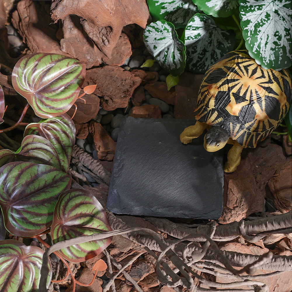 Reptile Enclosure Landscape Rock Plate, Terrapin Scratching Feeding Bowl, Reptile Cooling Mat, Natural Stone, Turtle Basking Platform, Wholesale