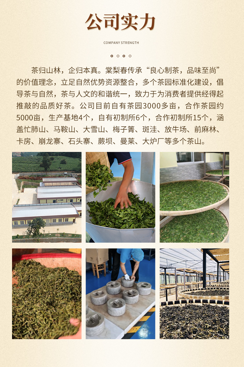 碎银子_12.jpg