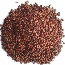 葡萄籽粉 500g 新鲜葡萄子 代餐粉 原粉 可搭配桑叶粉