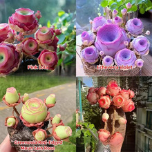 羳؛ɽõNӻɫˮõNԻB