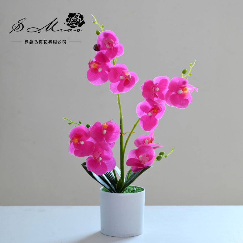 Flor artificial doble tenedor Phalaenopsis bonsai suministro directo de fábrica orquídea creativo interior pequeño columpio artificial planta verde artificial flor artificial al por mayor