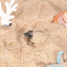 河沙细沙粗砂颗粒沙黄沙子鱼缸螃蟹乌龟冬眠多肉沙君子兰配土沙厂