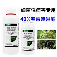 ϲӯ��40%��������~�������rș�S�ϼ����Խǰ߲�����ù�����ͪ