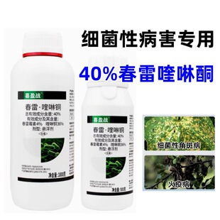 ϲӯ��40%��������~�������rș�S�ϼ����Խǰ߲�����ù�����ͪ