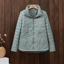 2025�ﶬ�¿����θ��p������q��Ůʿ�̿����I���ɴ�a���װ����q